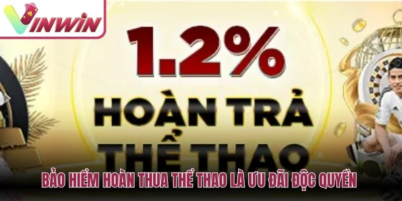 Hoàn trả Vinwin cần đọc chu kỳ tính doanh thu hợp lệ tỷ lệ hoàn và điều kiện rút tiền
